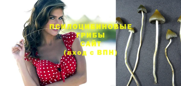 стафф Кинешма