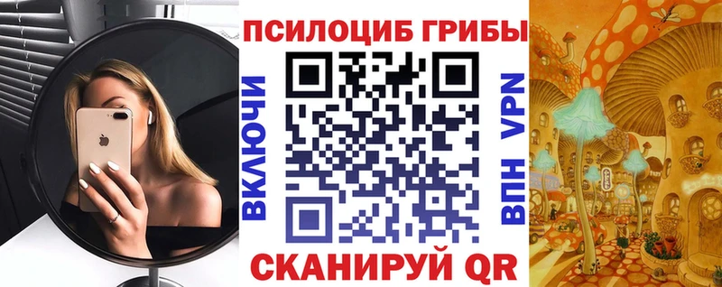 Галлюциногенные грибы Psilocybe  Купить где  Ачинск 